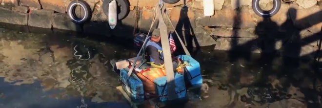 Boston, Boston Harbor, pumpkin, squash, gourd, halloween, pumpkin boat, fall, autumn, boats, ships, vegetables, vegetable boats