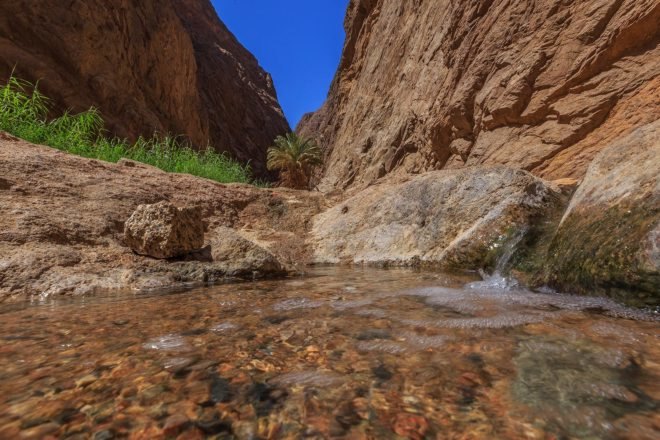 NEOM, Public Investment Fund of Saudi Arabia, Saudi Arabia, Discover NEOM, land, zone, environment, Jordan, Egypt, global hub, technology, green technology, future