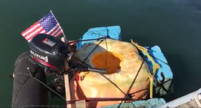 pumpkin, pumpkin boat, Boston