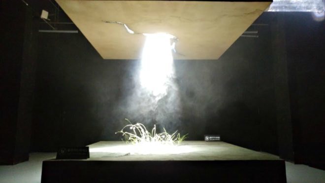Raad Studio, James Ramsey, Invasive Regeneration, 2017 Seoul Biennale of Architecture, plant art installation, The Lowline manhattan, Lowline technology, solar technology, advanced solar technology, solar-powered art installation,