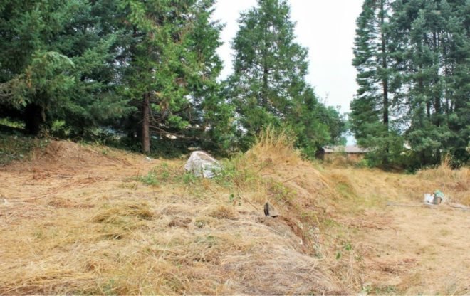 Nolan Scheid, Nolie Scheid, dome homes, concrete lord of the rings home, odd architecture, dome architecture, stone homes, off grid homes, dome homes for sale, oregon homes, domed architecture, off grid home design, natural light, lorrane home, oregon homes for sale, reclaimed wood flooring