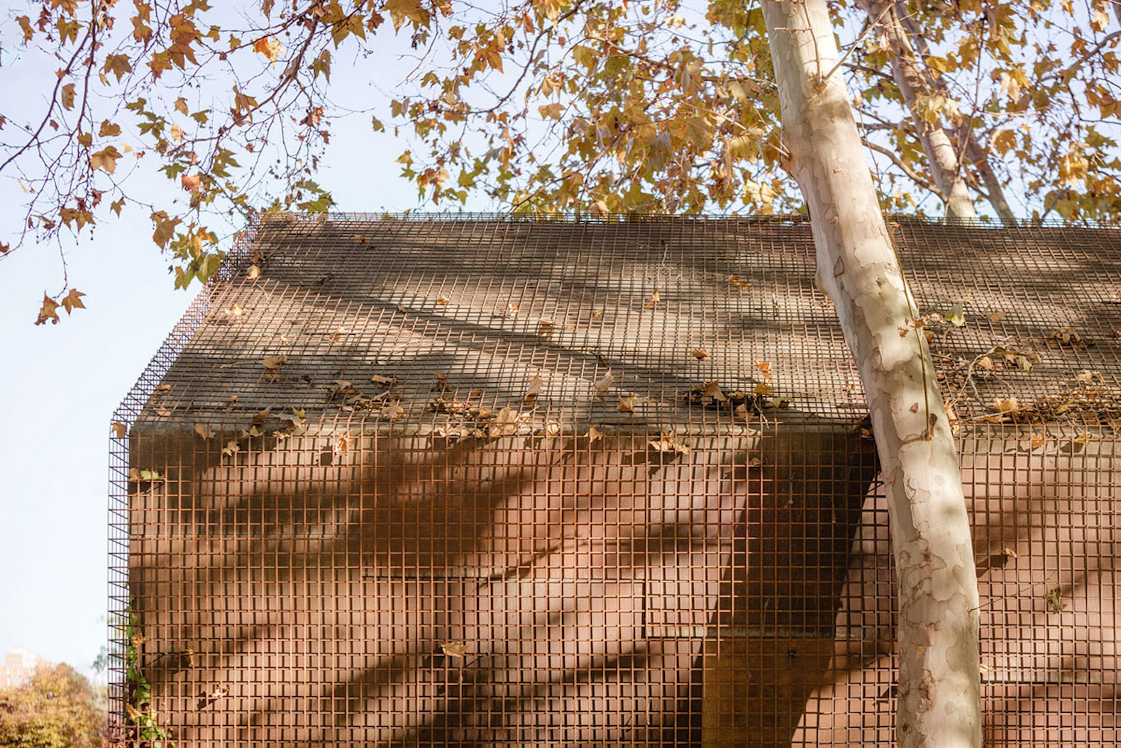 Tennis & Padel school office by BETA.o architecture office, BETA.ø architecture office, prefab office, prefabricated steel architecture, Madrid contemporary office architecture, pine plywood paneling, minimal site impact office design