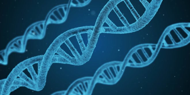 Human endogenous retrovirus, human endogenous retroviruses, HERV, HERVs, virus, viruses, retrovirus, retroviruses, DNA, RNA, genome, genomes, health, pregnant, pregnant woman, pregnant women