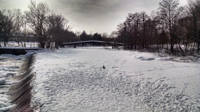 Greg Beach, The World and Watertown: Tales of an American Hometown, The World and Watertown, Watertown, Massachusetts, New England, town, hometown, hometowns, ecology, environment, green space, green spaces, nature, history, wildlife, Charles River, snow