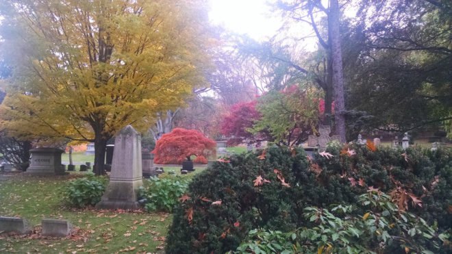 Greg Beach, The World and Watertown: Tales of an American Hometown, The World and Watertown, Watertown, Massachusetts, New England, town, hometown, hometowns, ecology, environment, green space, green spaces, nature, history, wildlife, fall, autumn, leaves, Mount Auburn Cemetery, garden, garden cemetery