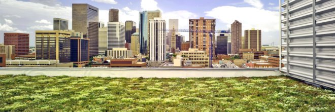 Denver, Colorado, urban design, urban planning, urban policy, policy, politics, green roof, green roof mandate, green roof initiative, buildings, construction, environment, energy, design