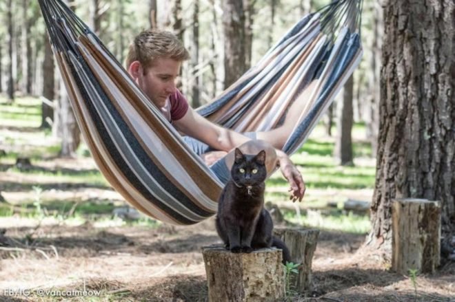 Australia, camper van, off-grid living, traveling, news, inspiration, Rich East, Van Cat Meow