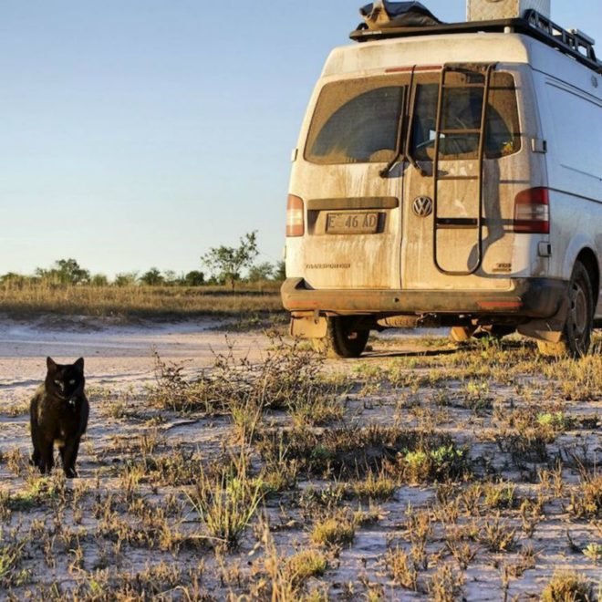 Australia, camper van, off-grid living, traveling, news, inspiration, Rich East, Van Cat Meow