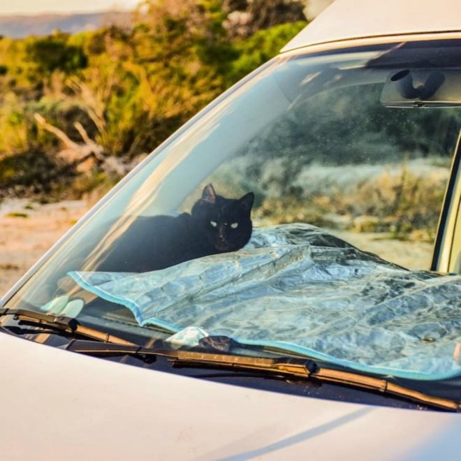 Australia, camper van, off-grid living, traveling, news, inspiration, Rich East, Van Cat Meow