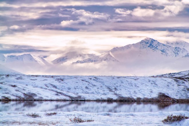Alaska, Arctic, Arctic National Wildlife Refuge, Arctic drilling, Arctic oil, environment, polar bear, polar bears, wildlife, wildlife refuge, Alaska wildlife, Arctic wildlife, animal, animals
