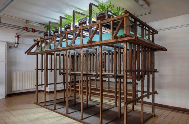 Aquaponic Eel bar, Recyclart Gallery, aquaponics, Brussels, Leopold Banchini Architects, Belgium, food production, green design