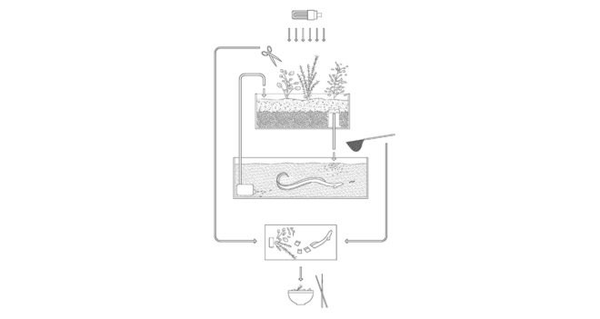 Aquaponic Eel bar, Recyclart Gallery, aquaponics, Brussels, Leopold Banchini Architects, Belgium, food production, green design