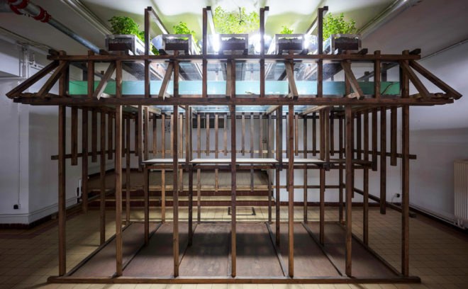 Aquaponic Eel bar, Recyclart Gallery, aquaponics, Brussels, Leopold Banchini Architects, Belgium, food production, green design