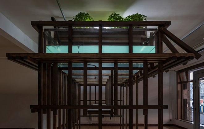 Aquaponic Eel bar, Recyclart Gallery, aquaponics, Brussels, Leopold Banchini Architects, Belgium, food production, green design