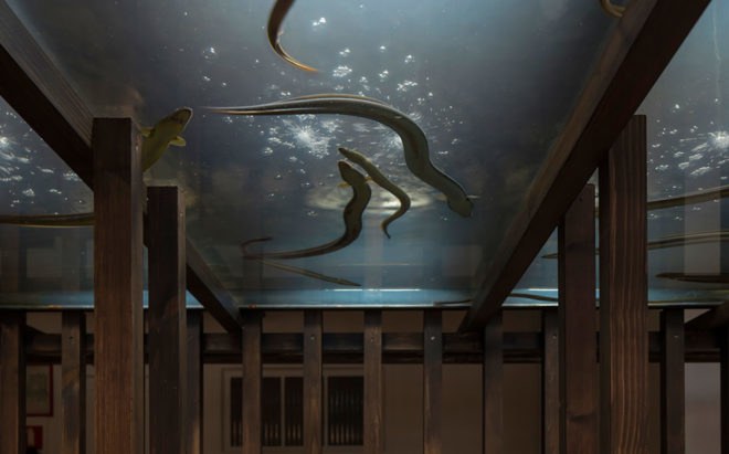Aquaponic Eel bar, Recyclart Gallery, aquaponics, Brussels, Leopold Banchini Architects, Belgium, food production, green design
