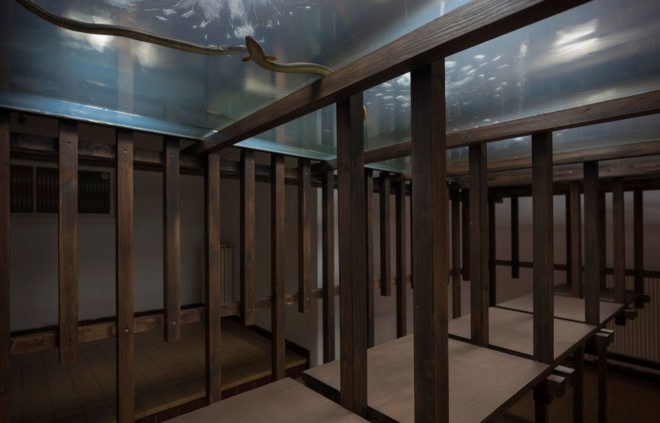 Aquaponic Eel bar, Recyclart Gallery, aquaponics, Brussels, Leopold Banchini Architects, Belgium, food production, green design