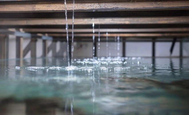 Aquaponic Eel bar, Recyclart Gallery, aquaponics, Brussels, Leopold Banchini Architects, Belgium, food production, green design