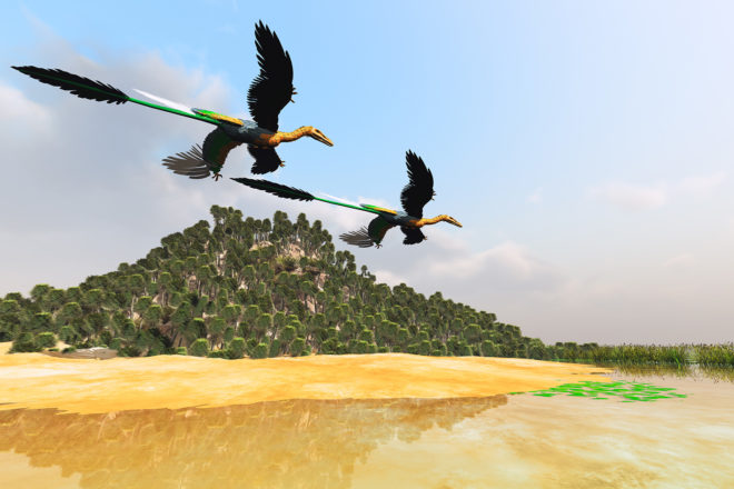 Dinosaur, dinosaurs, dinosaur feathers, feather, feathers, bird feathers, bird, birds, flying, flight, alligator, alligators, alligator scales, scale, scales, science, gene, genes