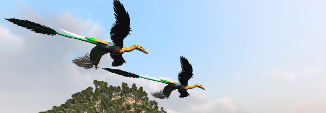 Dinosaur, dinosaurs, dinosaur feathers, feather, feathers, bird feathers, bird, birds, flying, flight, alligator, alligators, alligator scales, scale, scales, science, gene, genes
