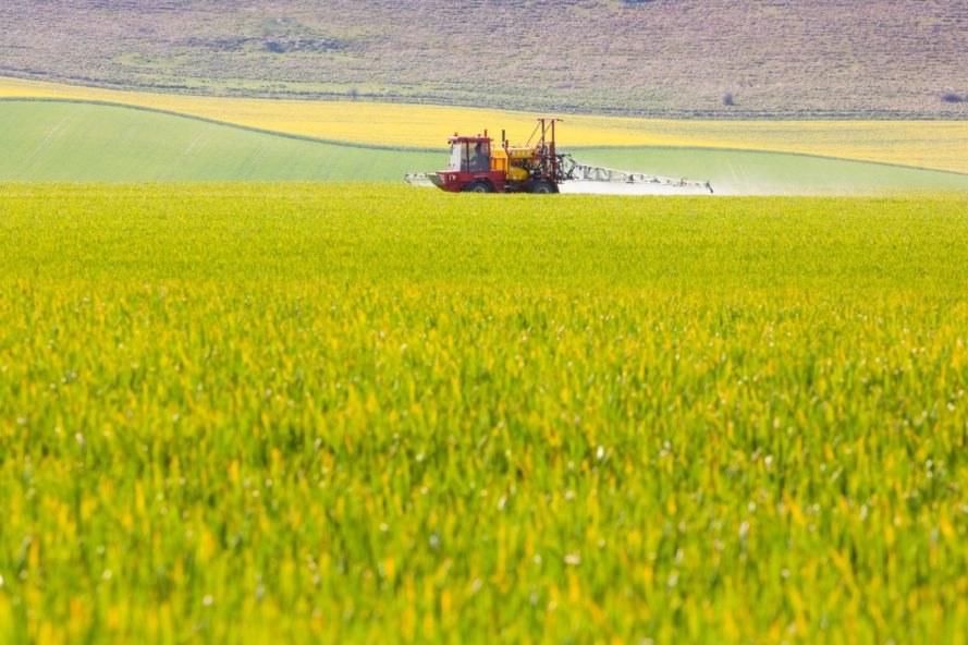 bees, insects, pollinators, pesticides, neonicotenoids