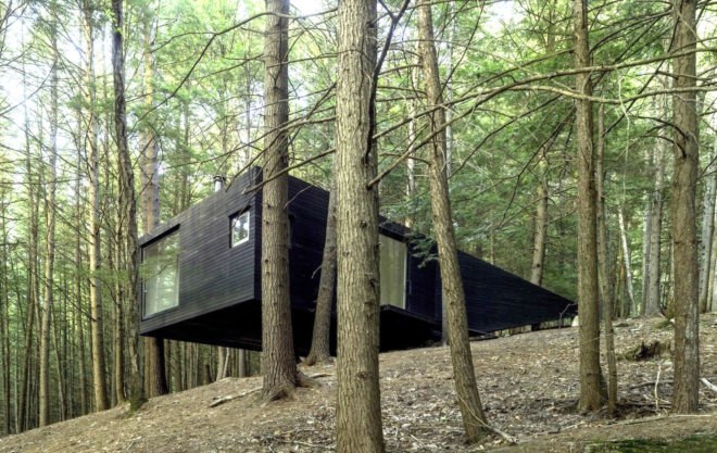 Half tree house by JacobsChang, low budget cabin, cabin in upstate new york, cabin construction in Sullivan County, Half Tree House in Sullivan County, off grid cabin upstate new york, Garnier Limb tree anchoring