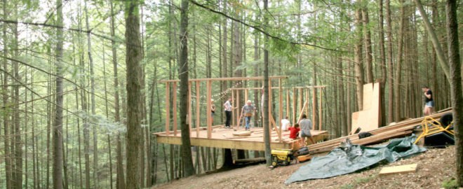 Half tree house by JacobsChang, low budget cabin, cabin in upstate new york, cabin construction in Sullivan County, Half Tree House in Sullivan County, off grid cabin upstate new york, Garnier Limb tree anchoring