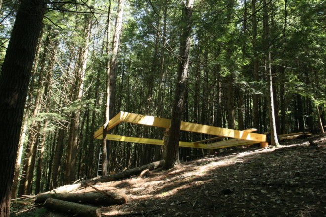Half tree house by JacobsChang, low budget cabin, cabin in upstate new york, cabin construction in Sullivan County, Half Tree House in Sullivan County, off grid cabin upstate new york, Garnier Limb tree anchoring