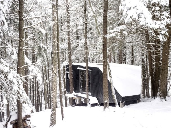Half tree house by JacobsChang, low budget cabin, cabin in upstate new york, cabin construction in Sullivan County, Half Tree House in Sullivan County, off grid cabin upstate new york, Garnier Limb tree anchoring