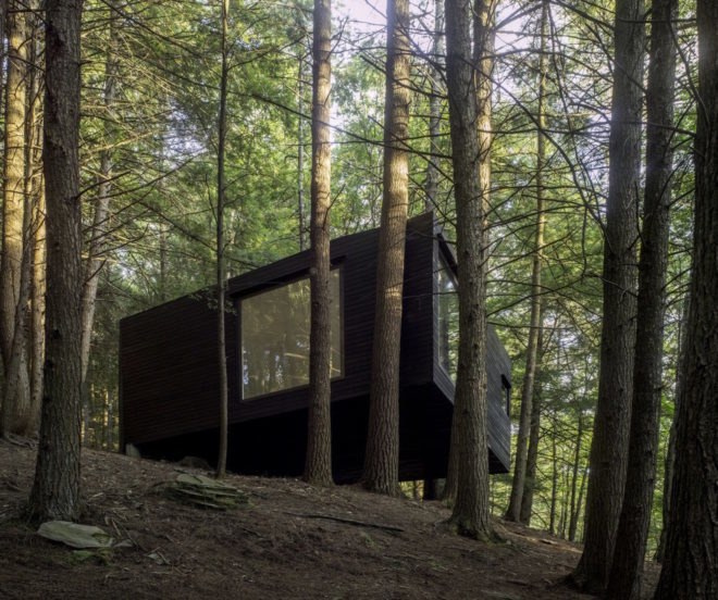 Half tree house by JacobsChang, low budget cabin, cabin in upstate new york, cabin construction in Sullivan County, Half Tree House in Sullivan County, off grid cabin upstate new york, Garnier Limb tree anchoring