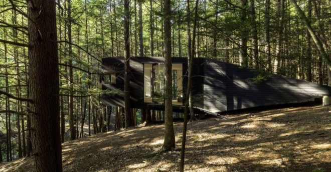 Half tree house by JacobsChang, low budget cabin, cabin in upstate new york, cabin construction in Sullivan County, Half Tree House in Sullivan County, off grid cabin upstate new york, Garnier Limb tree anchoring