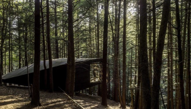 Half tree house by JacobsChang, low budget cabin, cabin in upstate new york, cabin construction in Sullivan County, Half Tree House in Sullivan County, off grid cabin upstate new york, Garnier Limb tree anchoring