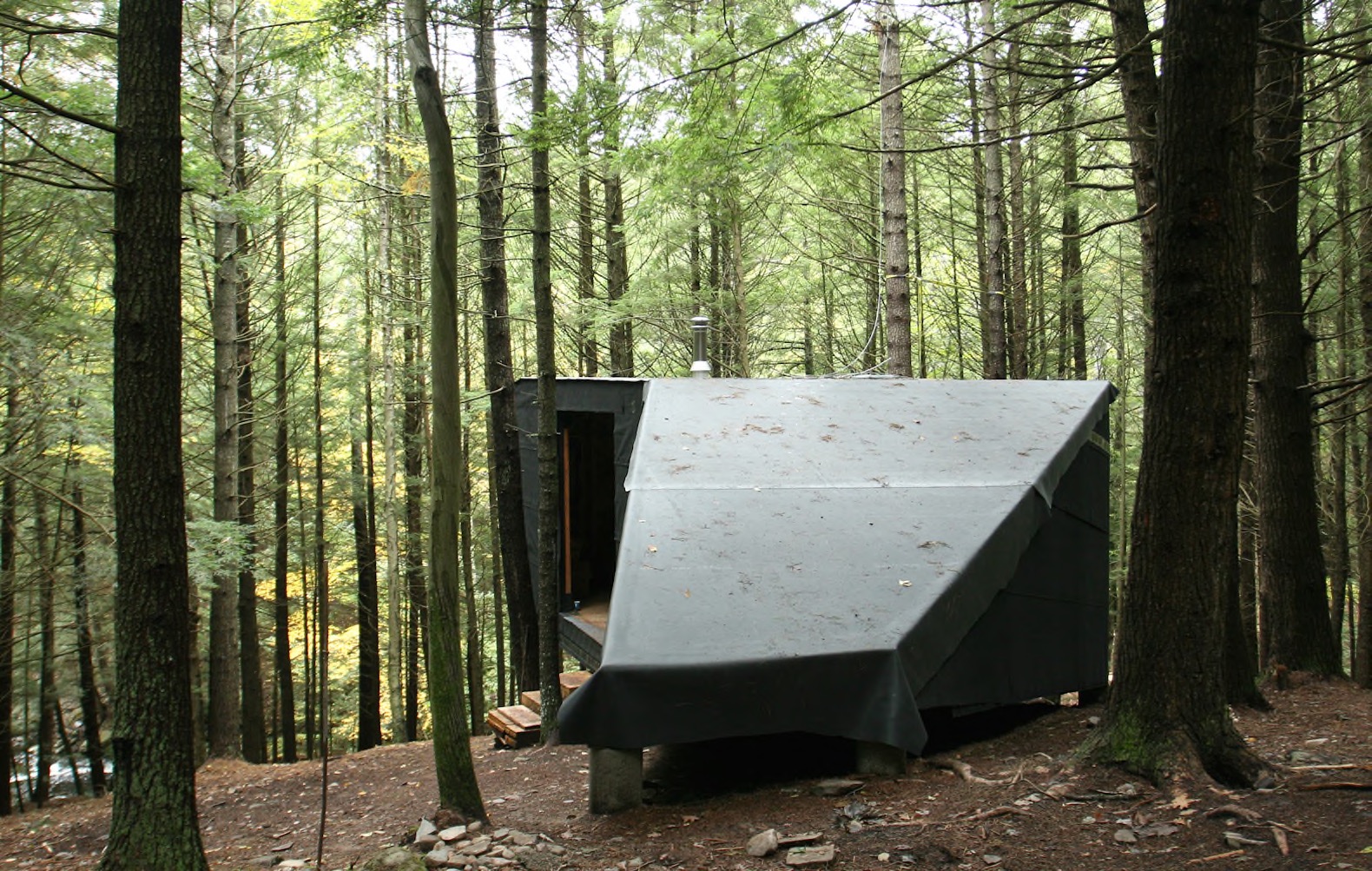 Half tree house by JacobsChang, low budget cabin, cabin in upstate new york, cabin construction in Sullivan County, Half Tree House in Sullivan County, off grid cabin upstate new york, Garnier Limb tree anchoring