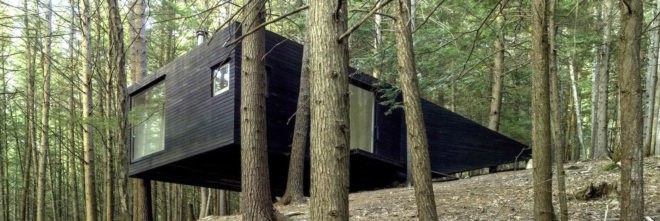 Half tree house by JacobsChang, low budget cabin, cabin in upstate new york, cabin construction in Sullivan County, Half Tree House in Sullivan County, off grid cabin upstate new york, Garnier Limb tree anchoring