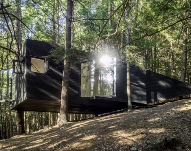Half tree house by JacobsChang, low budget cabin, cabin in upstate new york, cabin construction in Sullivan County, Half Tree House in Sullivan County, off grid cabin upstate new york, Garnier Limb tree anchoring