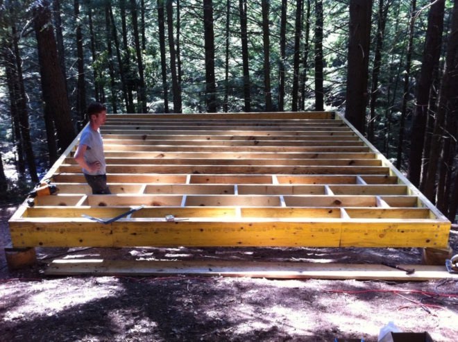 Half tree house by JacobsChang, low budget cabin, cabin in upstate new york, cabin construction in Sullivan County, Half Tree House in Sullivan County, off grid cabin upstate new york, Garnier Limb tree anchoring