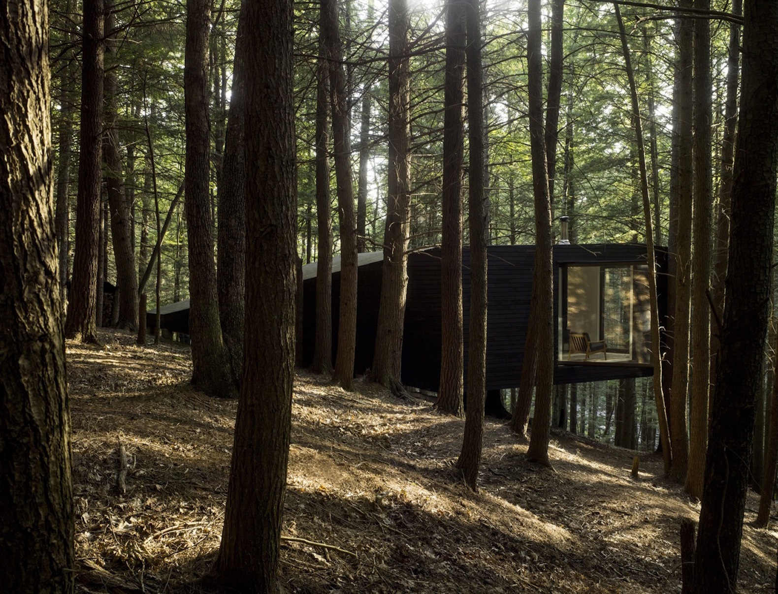 Half tree house by JacobsChang, low budget cabin, cabin in upstate new york, cabin construction in Sullivan County, Half Tree House in Sullivan County, off grid cabin upstate new york, Garnier Limb tree anchoring