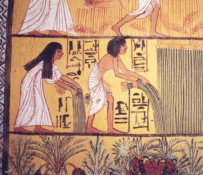 University of Cambridge, Cambridge, women, woman, female, female athlete, female athletes, female rower, female rowers, woman rower, woman rowers, rower, rowers, athlete, athletes, arm, arms, prehistoric, prehistoric women, ancient, ancient women, farming, agriculture