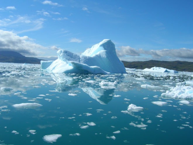 Sea ice, ice, ocean, Arctic, Antarctic, environment, climate change, ice, snow, seal, seals, water, cold