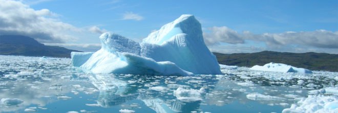 Sea ice, ice, ocean, Arctic, Antarctic, environment, climate change, ice, snow, seal, seals, water, cold