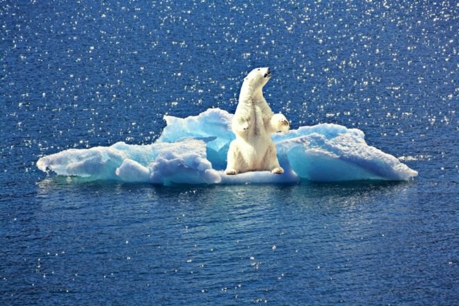 Syria, United States, Paris Climate Agreement, Paris Accord, climate change, environment, global warming, News, Politics