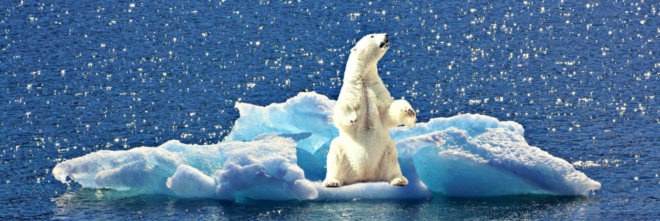 Syria, United States, Paris Climate Agreement, Paris Accord, climate change, environment, global warming, News, Politics