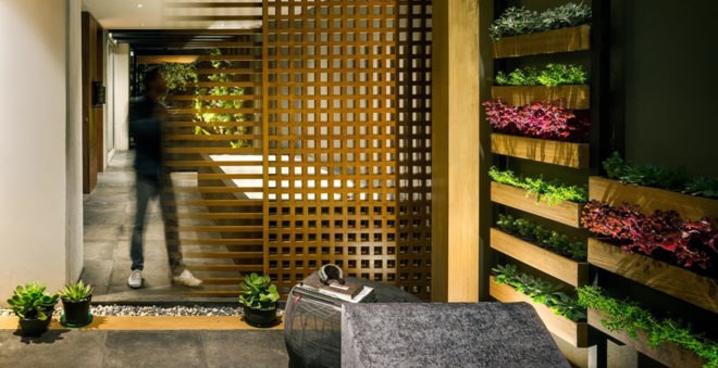 Villa Jardín, ASP Arquitectura Sergio Portillo, Mexico City, reclaimed wood, vertical garden, natural ventilation, green interior, green architecture, modular space, modular design
