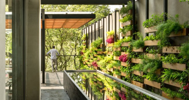 Villa Jardín, ASP Arquitectura Sergio Portillo, Mexico City, reclaimed wood, vertical garden, natural ventilation, green interior, green architecture, modular space, modular design