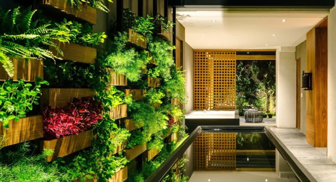 Villa Jardín, ASP Arquitectura Sergio Portillo, Mexico City, reclaimed wood, vertical garden, natural ventilation, green interior, green architecture, modular space, modular design