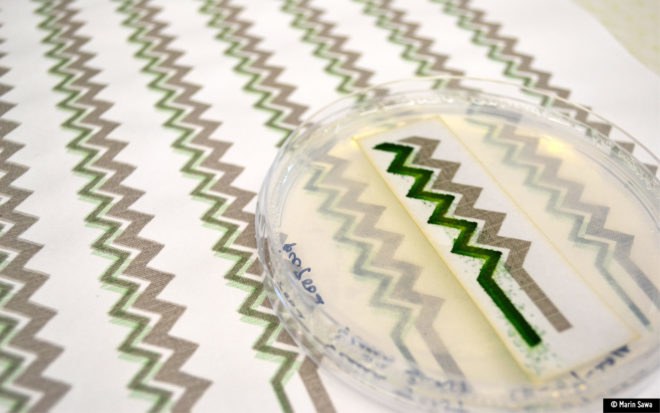 Imperial College London, Central Saint Martins, University of Cambridge, microbial biophotovoltaic, microbial biophotovoltaics, cyanobacteria, photosynthesis, electricity, energy harvesting, wallpaper, bio-solar panel, science