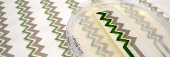 Imperial College London, Central Saint Martins, University of Cambridge, microbial biophotovoltaic, microbial biophotovoltaics, cyanobacteria, photosynthesis, electricity, energy harvesting, wallpaper, bio-solar panel, science