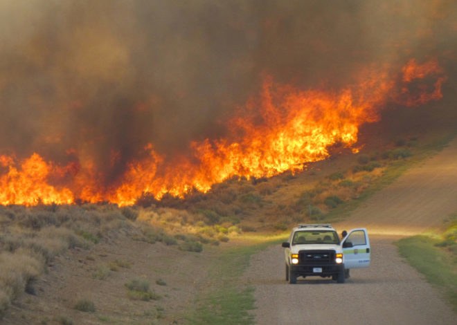 United States Forest Service, William Jolly, fire, fires, wildfire, wildfires, flames, flame, smoke, California, climate change, climate, politics