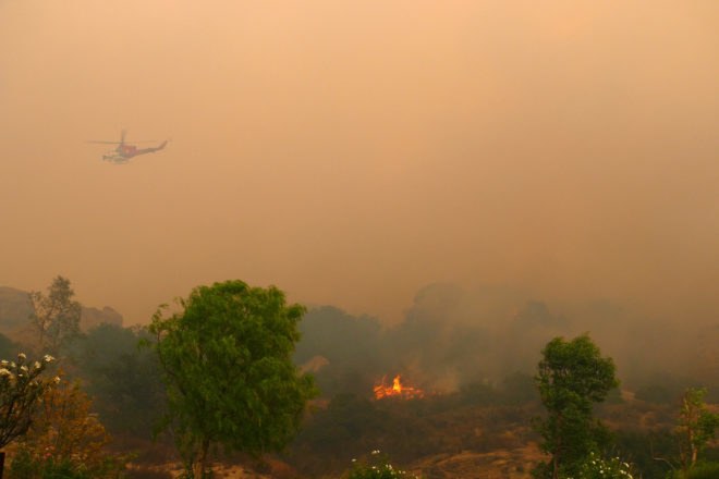 United States Forest Service, William Jolly, fire, fires, wildfire, wildfires, flames, flame, smoke, California, climate change, climate, politics