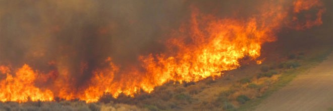 United States Forest Service, William Jolly, fire, fires, wildfire, wildfires, flames, flame, smoke, California, climate change, climate, politics