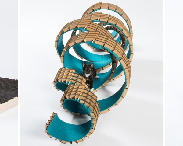 FixNation, los angeles stray cats, giving shelter exhibit, la cat population, homeless cats in los angeles, cat shelter design, animal shelter designs, furniture for pets, climbing posts cats, cat homes, architects designs home for cats, cat architecture